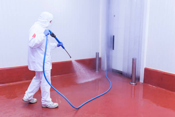 Best Pre-Holiday Cleaning  in Oaklyn, NJ